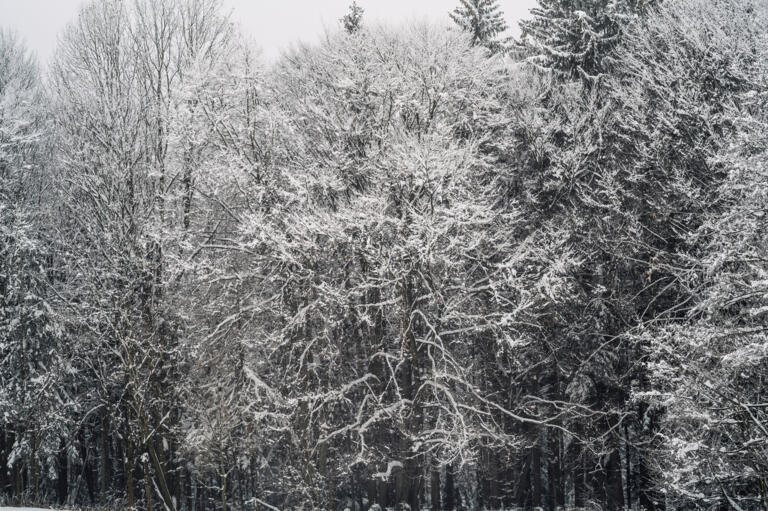 Martin Mayr zusammen mit seinem Volvo Polar in verschneiter Landschaft